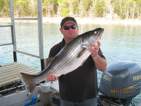 Nice Striped Bass